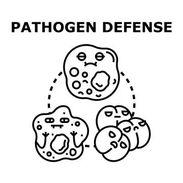Pathogen defense system fighting off harmful microorganisms Stock Illustration