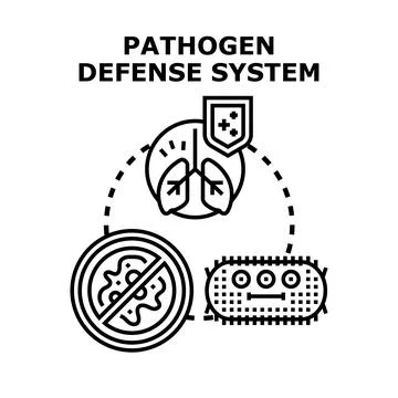 Pathogen defense system protecting human immunity from viruses Stock Illustration