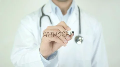 Pathogen, Doctor Writing on Transparent Screen Stock Photos