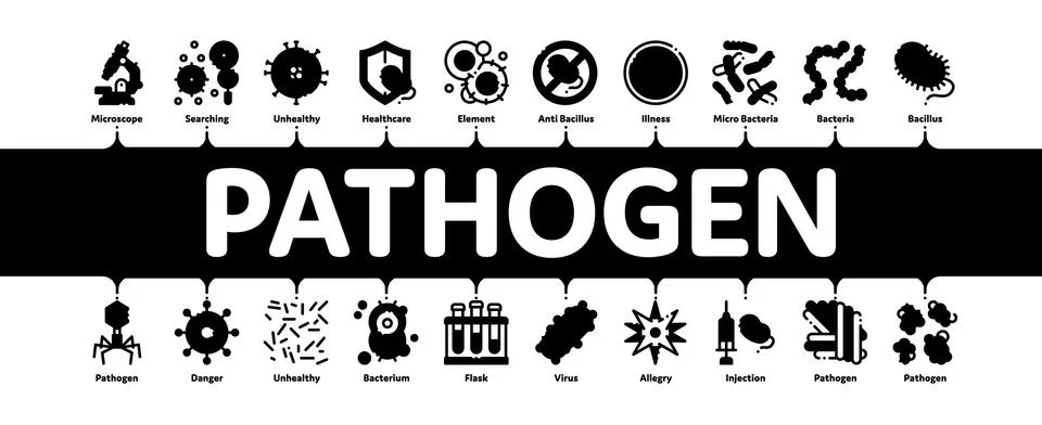 Pathogen Elements Minimal Infographic Banner Vector Stock Illustration