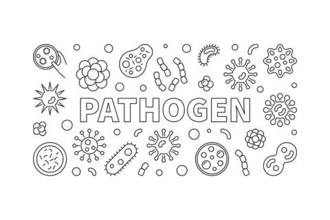 Pathogen horizontal illustration. Vector banner made with bacter Stock Illustration