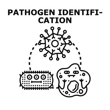 Pathogen identification analyzing bacteria virus and protozoa 스톡 일러스트