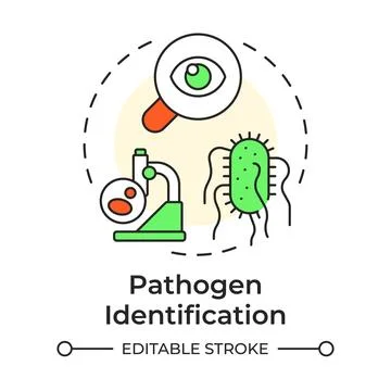 Pathogen identification multi color concept icon Stock Illustration