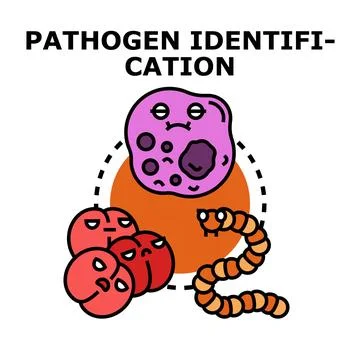 Pathogen identification process concept icon Stock Illustration