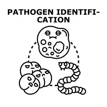 Pathogen identification process concept icon Stock Illustration