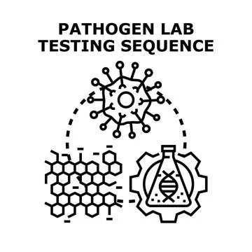 Pathogen lab testing and analysis sequence Stock Illustration