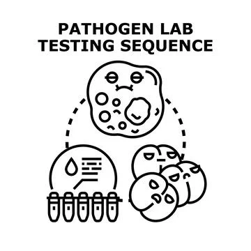 Pathogen lab testing sequence identifying infection disease Stock Illustration