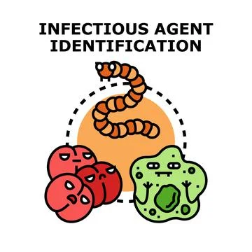 Pathogen microorganism identifying for infectious disease diagnostics Stock Illustration