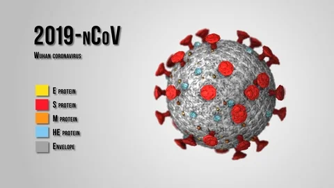 Pathogen outbreak of bacterium and virus, disease causing microorganisms like Stock-Footage 123996554