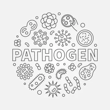Pathogen round vector concept outline illustration Stock Illustration