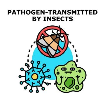 Pathogen transmission by insects concept icon Stock Illustration