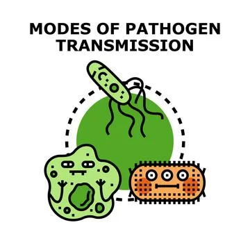 Pathogen transmission modes spreading infectious disease concept Stock Illustration