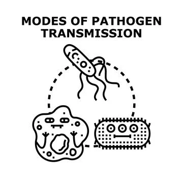 Pathogen transmission modes spreading infectious disease concept Stock Illustration