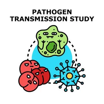 Pathogen transmission study examining infectious disease spread Stock Illustration