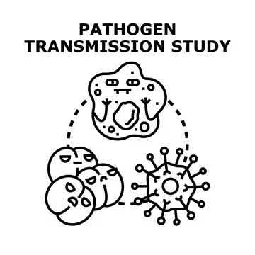 Pathogen transmission study examining infectious disease spread Stock Illustration