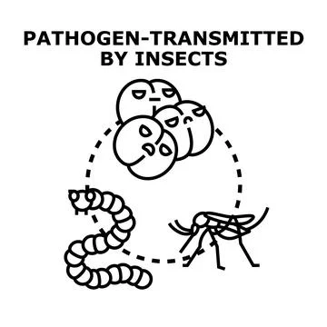 Pathogen transmitted by insects vector disease concept Stock Illustration