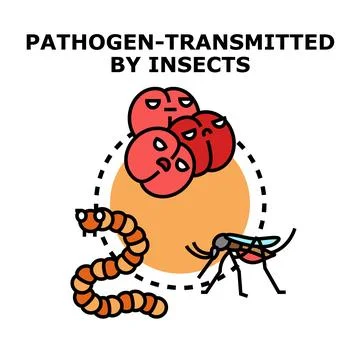 Pathogen transmitted by insects vector disease concept Stock Illustration