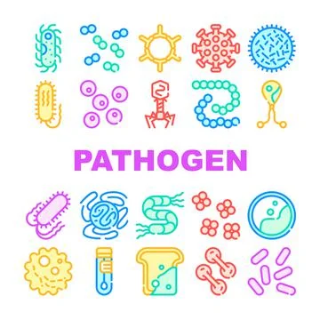 Pathogen Virus Disease Collection Icons Set Vector イラスト素材