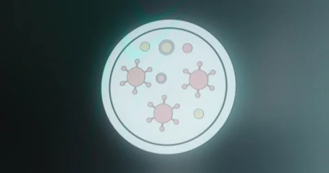 Pathogens and microbes seen through a microscope Stock Footage 314504937