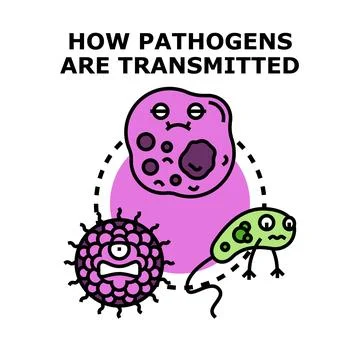 Pathogens transmitting infection cycle illustrating disease spread Stock Illustration