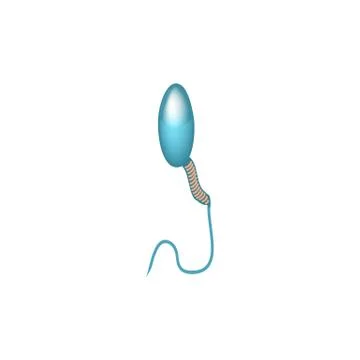 Pathological forms of sperm in the ejaculate. Male infertility Oligospermia Stock Illustration