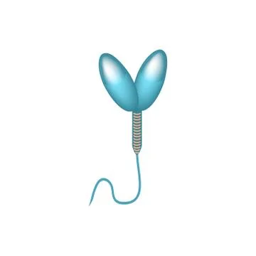 Pathological forms of sperm in the ejaculate. Male infertility Oligospermia Stock Illustration