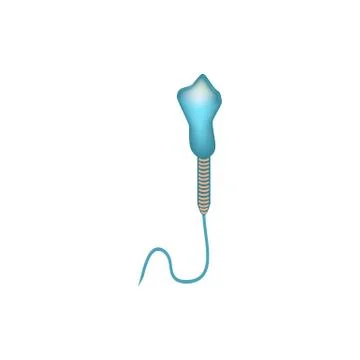 Pathological forms of sperm in the ejaculate. Male infertility Oligospermia Stock Illustration