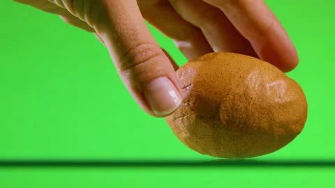 Pathologies of the reproductive organs. Damage and deformation of eggs. Stock Footage 204165361