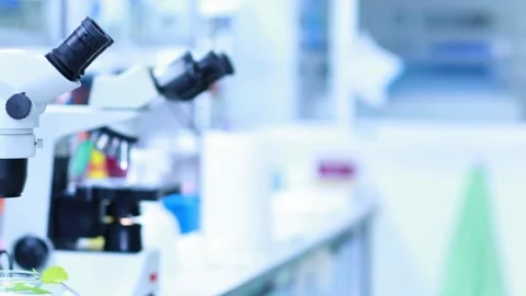 A pathologist examines a human tissue sample under a sophisticated microscope Stock Footage 336582702