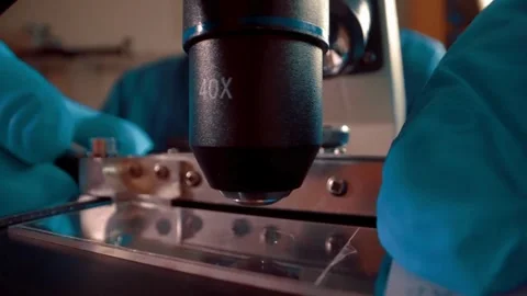 A pathologist examines a human tissue sample under a sophisticated microscope Stock Footage 336582785
