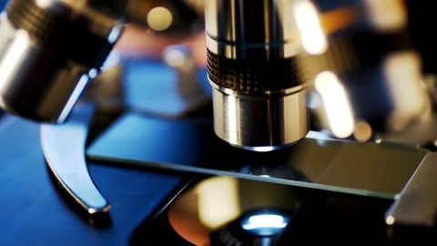 A pathologist examines a human tissue sample under a sophisticated microscope Stock Footage 336582800