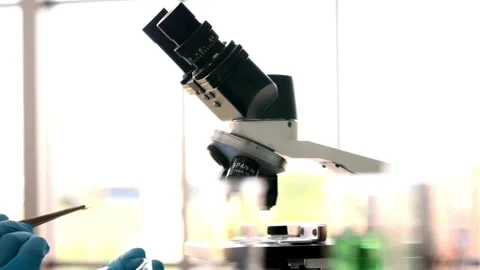 A pathologist examines a human tissue sample under a sophisticated microscope Stock Footage 336582821