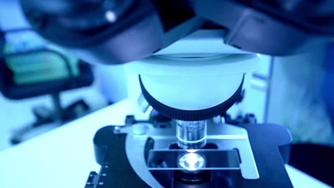 A pathologist is studying diseased tissue under a microscope. 2k 60fps Stock Footage 336583261