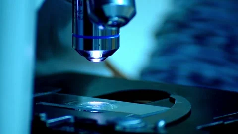 A pathologist is studying diseased tissue under a microscope. 2k 60fps Stock Footage 336583283