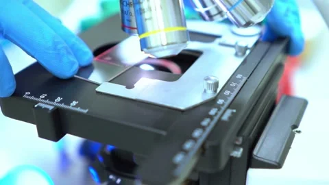 A pathologist is studying diseased tissue under a microscope. 2k 60fps Stock Footage 336583324