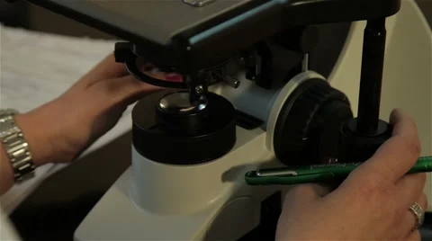 Pathology. Doctor analyzing tissue sample with microscope, tilt up, close up. Stock Footage 53085546