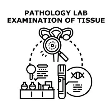 Pathology lab examining human tissue for diagnosis Stock Illustration
