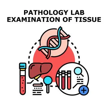 Pathology lab examining tissue and genetic material Stock Illustration