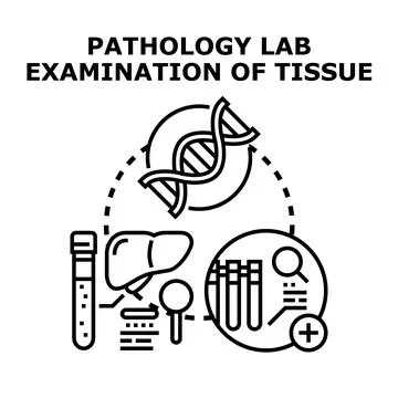 Pathology lab examining tissue and genetic material Stock Illustration