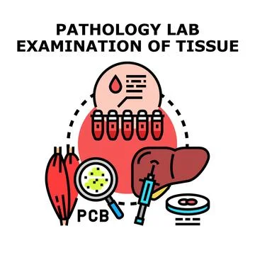Pathology lab examining tissue samples for diagnosis Stock Illustration