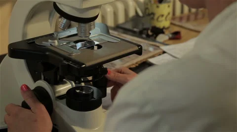 Pathology. Pathologist analyzed tissue sample with microscope, tilt up, close up Stock Footage 53085879