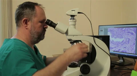 Pathology.Pathologist analyzing tissue sample with microscope.Pathological test. Stock Footage 53087781