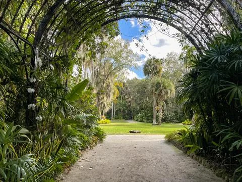 A pathrway surrounded by an arch trellis that opens into a botanical garden Stock Photos