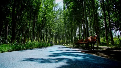 Paths and benches in the park 動画素材 293285624