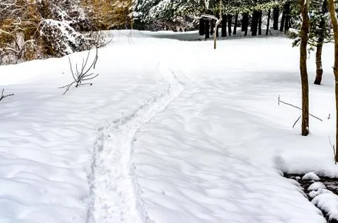 Paths and traces of boots through the snow in park . Stock Photos