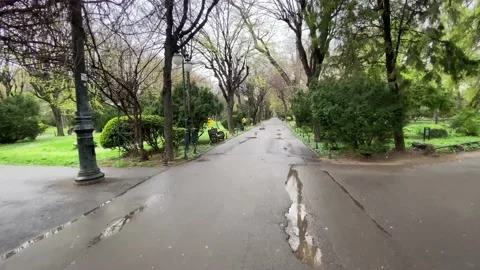 The paths are wet and empty without people. Rainy weather. City park. Stock Footage 237723582