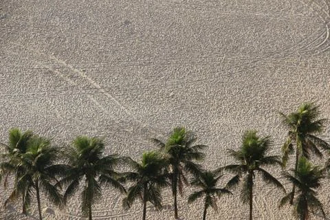 Paths in the beach sand 库存照片