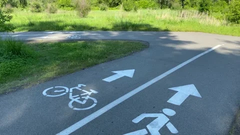 Paths for cyclists and pedestrians in the park Stock Footage 155871002