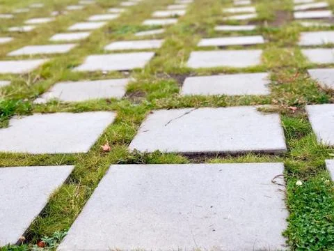 Paths of gray plates on green grass Stock Photos