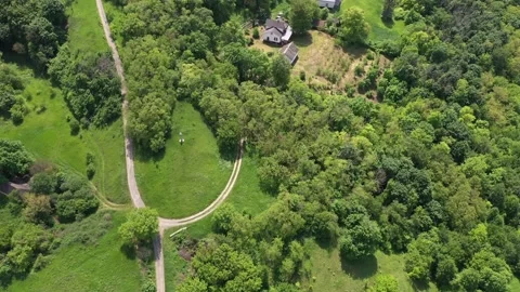 Paths in the green meadow of the green forest Stock Footage 159821450